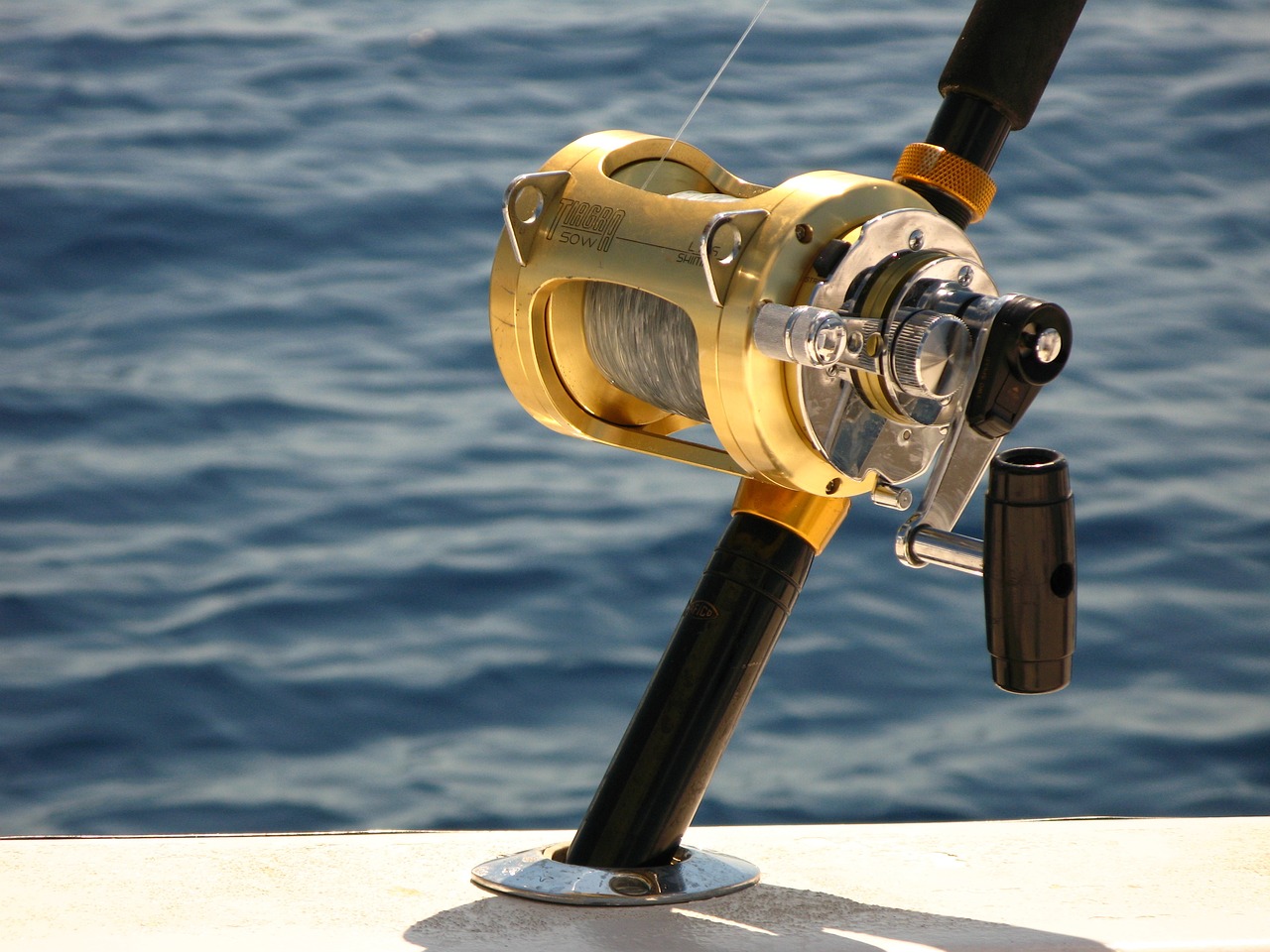 The Ultimate Guide to Choosing the Best Surf Fishing Reels - Fishing Like  Boss