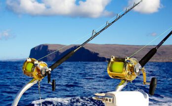 Trolling rods for deep sea fishing