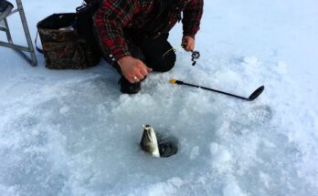 Ice Fishing Reel