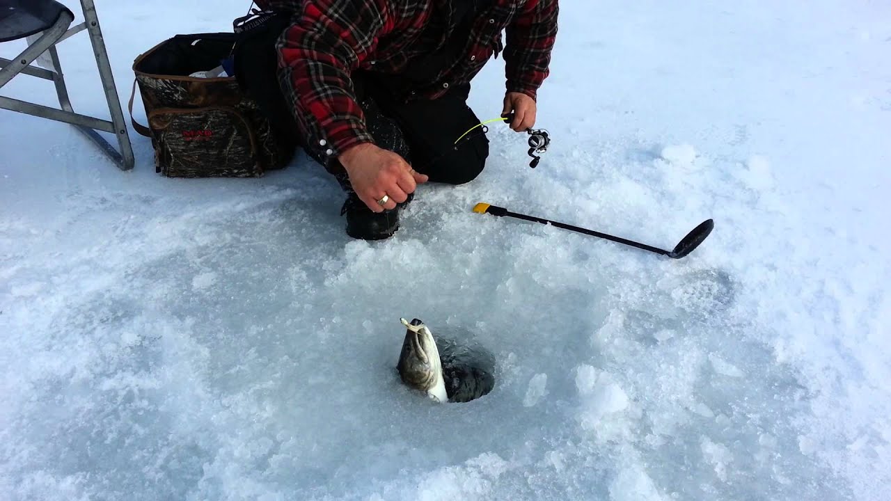 Top Best Ice Fishing Reels Reviewed - FishingLikeBoss