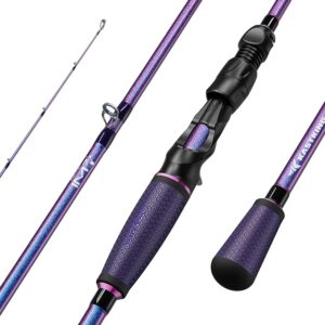 Select Best types of Fising Rods