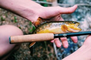 When And How To Properly Use Best Tenkara Rods?
