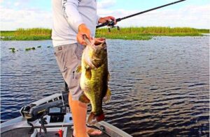 How to Pick up Best Flipping Rods