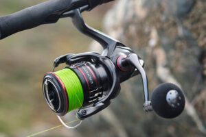 Best Shimano Fishing Reels Reviewed: A Detailed Guide