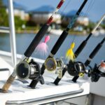 What Are the Different Types of Fishing Reels
